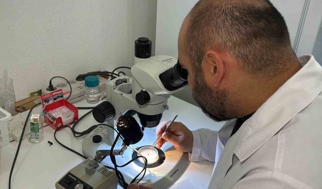 Türkiye’nin kene faunası değişiyor; yeni türler takip altında