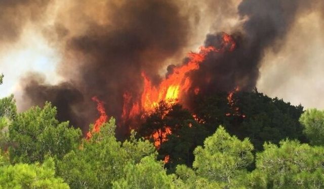 Tarım ve Orman Bakanı İbrahim Yumaklı: " İzmir Çeşme’de yangın kontrol altına alınmıştır. Ödemiş ve Buca’daki yangınları kontrol altına almak için hava ve karadan yoğun mücadelemiz sürüyor."