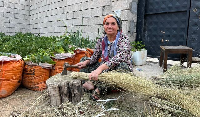 Ata mirasını yaşatıyor: Ot süpürgesi geleneğini sürdürüyor