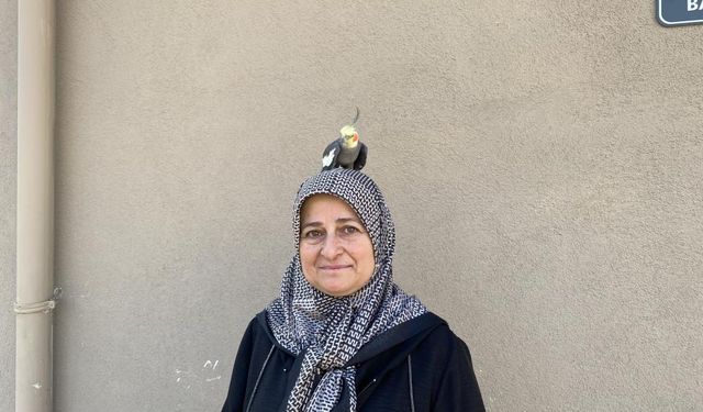 Papağan Duman, Tokatlı Ailenin Neşe Kaynağı Oldu
