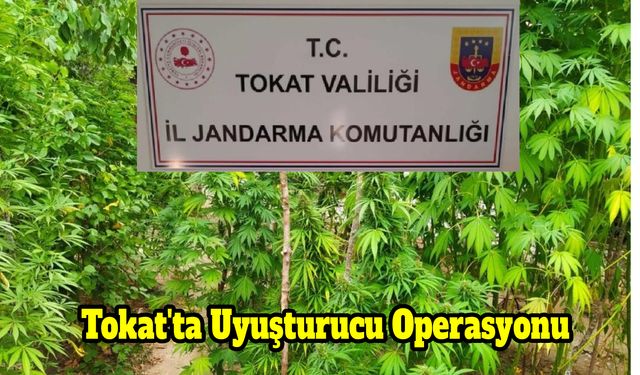 Tokat'ta Uyuşturucu Operasyonu