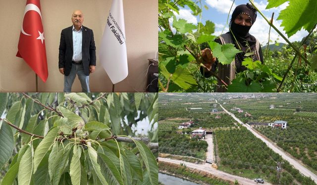 Prof. Dr. Gerçekcioğlu Don Riskine Karşı Örtü Altı Meyveciliği Önerdi