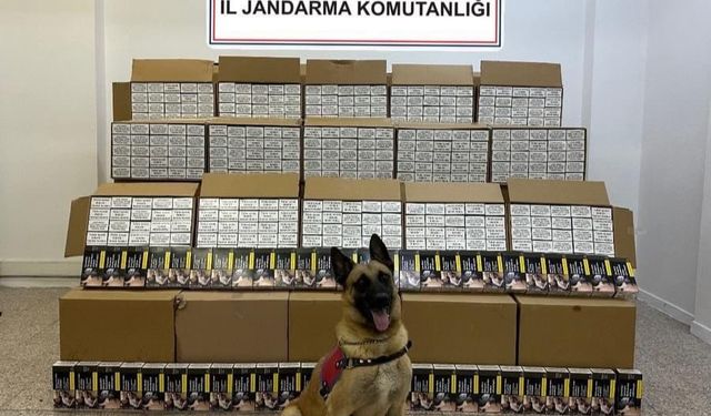 Tokat İl Jandarma Komutanlığı Kaçakçılık Operasyonu Düzenledi