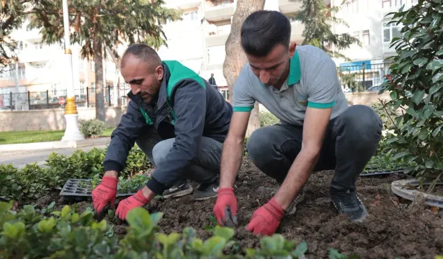 Tokat Belediyesi Park ve Bahçeler Müdürlüğü Ekipleri Çalışmalarına Devam Ediyor
