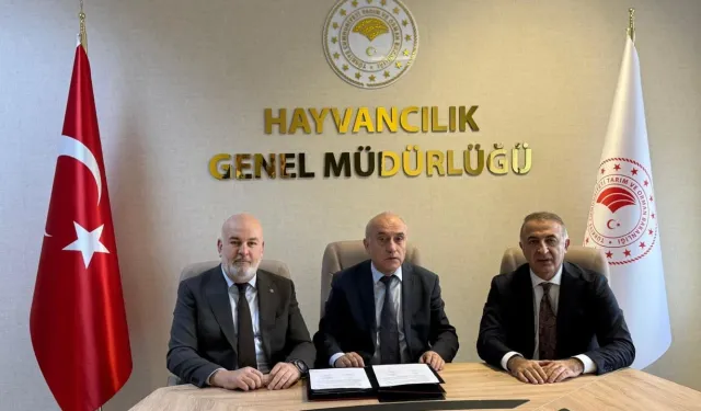 Besilik Hayvan Üreticilerine Modern Ekipman Desteği