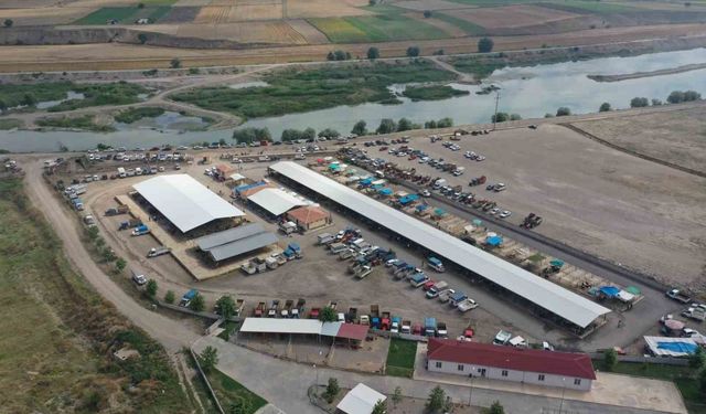 Erbaa hayvan pazarı yeniden açılıyor