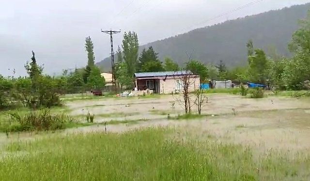 Kelkitçayı taştı, köyler ve tarım arazileri sular altında kaldı