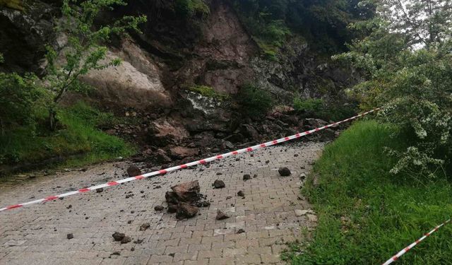 Niksar'da sağanak nedeniyle kaya parçaları yola düştü