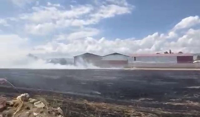 Hasat edilmiş buğday tarlasında çıkan yangın yerleşim yerlerine sıçramadan söndürüldü