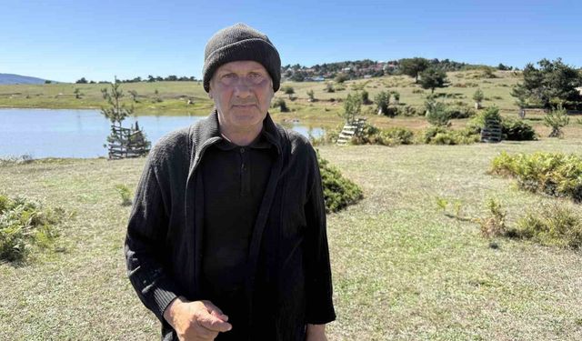 Sürünün tamamı ahıra dönmedi, karşılaştığı manzara şoke etti