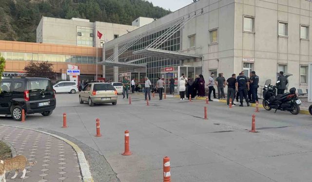 Tokat'ta hayvan otlatma meselesi silahlı kavgaya dönüştü: 2 yaralı