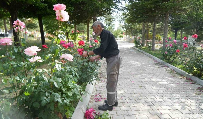 Rüyayla başladı, hayatının görevi oldu: 19 yıldır karşılıksız mezarlık bakımı yapıyor