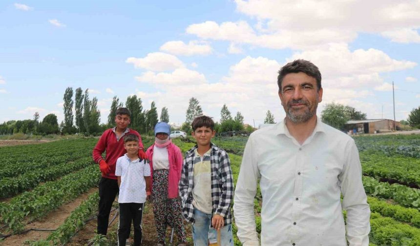 40 dereceyi bulan sıcaklarda mevsimlik işçilerin mücadelesi