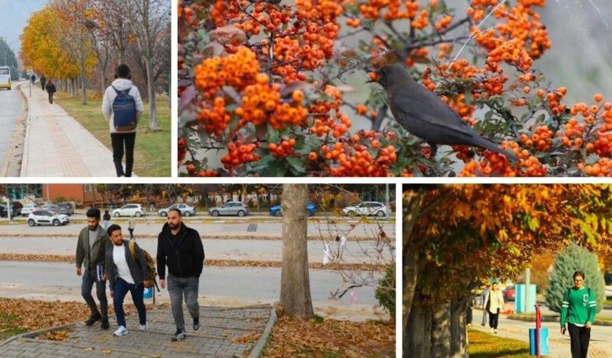 Tokat Gaziosmanpaşa Üniversitesi Kampüsünde Sonbahar Görsel Bir Şölen Sunuyor