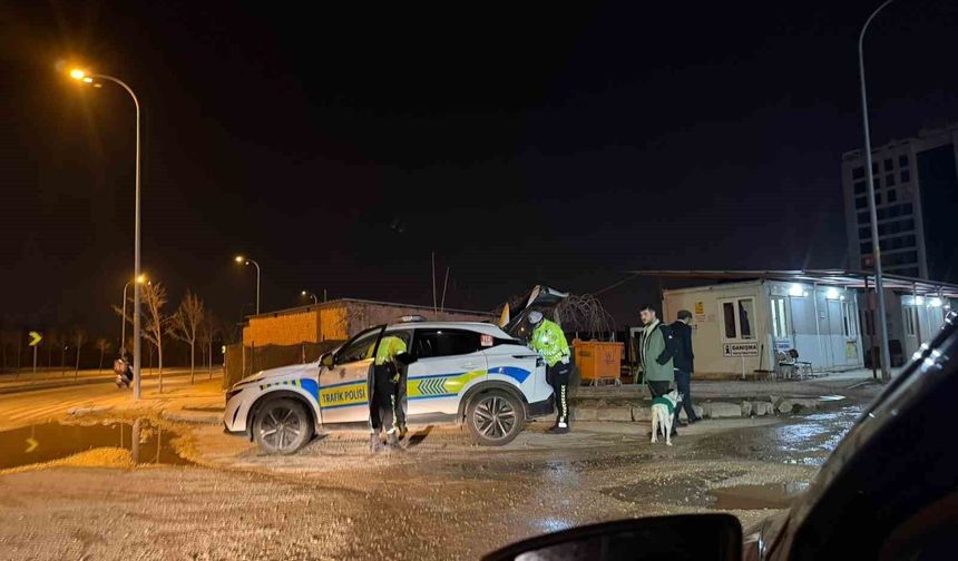 1.55 promil alkollü yakalanan ve 14 bin TL ceza kesilen sürücü, karakola köpeğiyle gitti