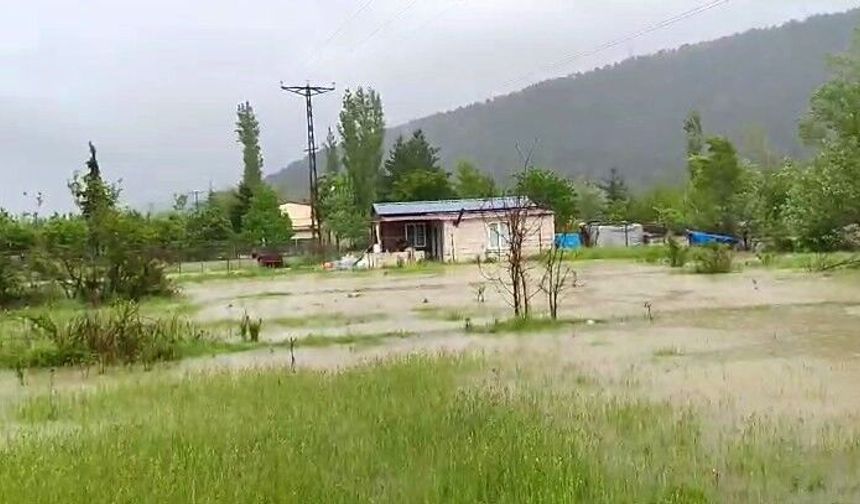 Kelkitçayı taştı, köyler ve tarım arazileri sular altında kaldı