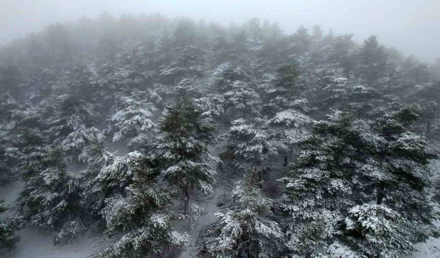 Tokat'ta bahar ortasında yağan kar mest etti