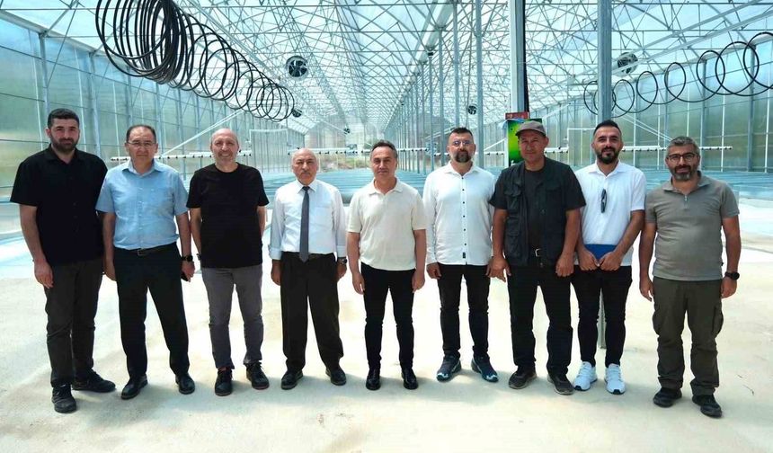 TOGÜ tohumluk patates üretimine başlıyor