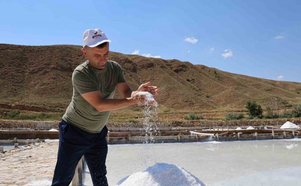 Beyaz altın hasadı başladı