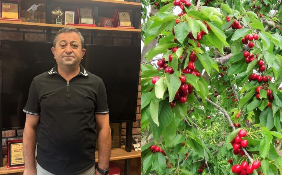 Tokatlı Çiftçiler, 5 Milyon Dolarlık Kayıp Nedeniyle Büyük Sıkıntı İçinde