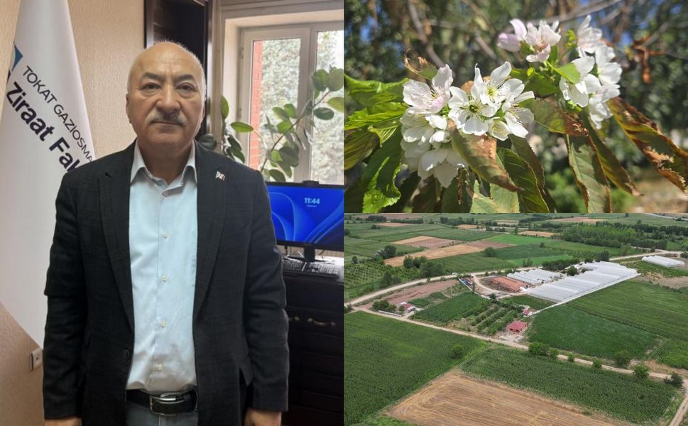 Kış Aylarının Bahar Gibi Geçmesi, Tarımda Büyük Hasara Yol Açtı