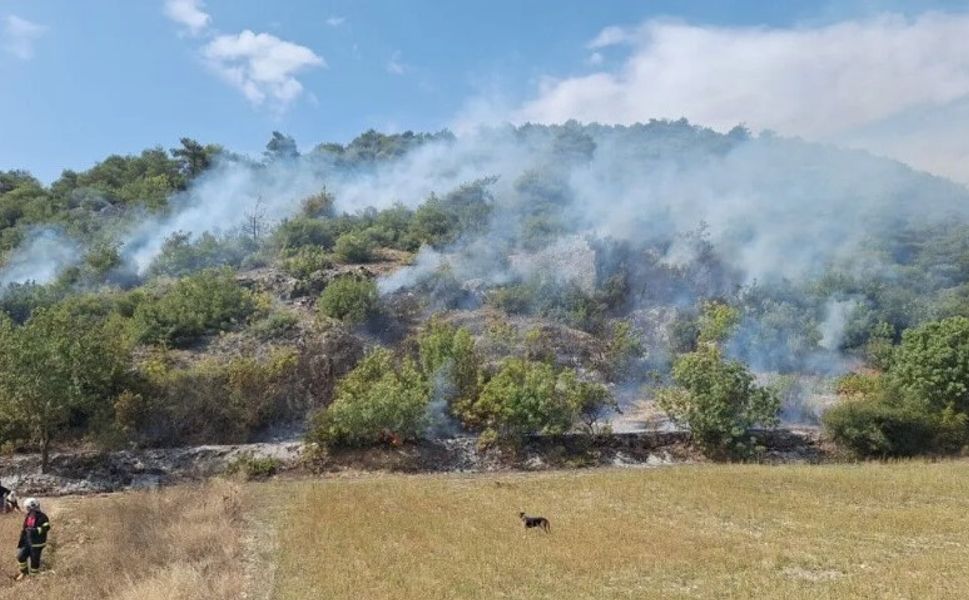 Niksar’da Kontrolden Çıkan Anız Yakımı, Orman Yangınına Sebep Oldu