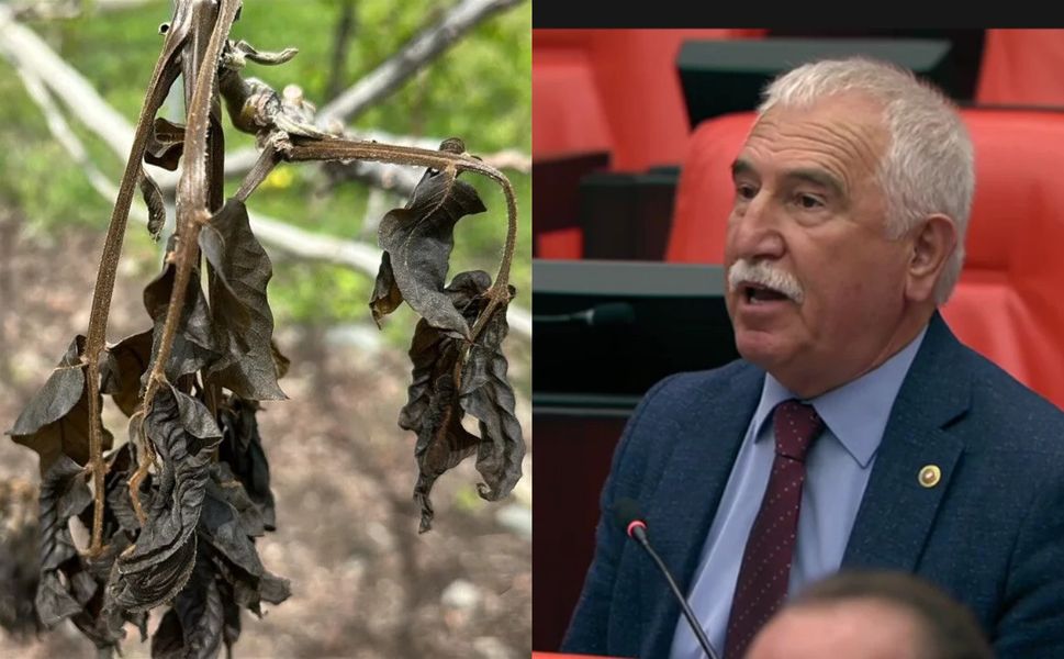 CHP Tokat Milletvekili Durmaz, Tarım Bağ-Kur Primlerinin Devlet Tarafından Karşılanmasını İstedi