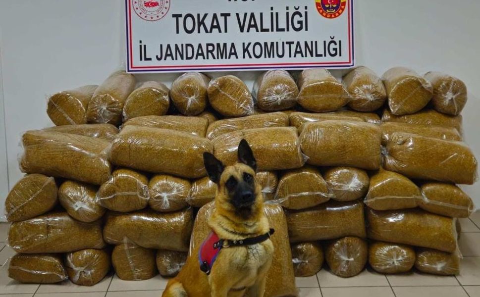 Tokat’ta Kaçak Tütün Operasyonu