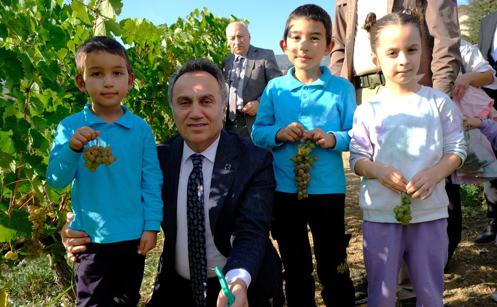 Tokat Gaziosmanpaşa Üniversitesi'nde Üzüm Hasadı Yapıldı