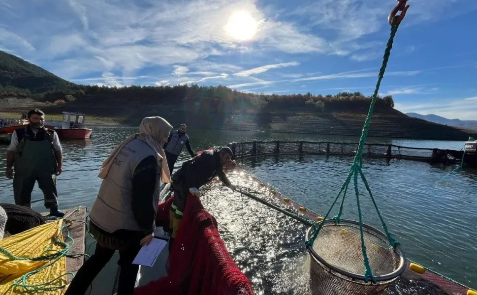 Almus’ta Üretilen Alabalıklar, Dünyaya İhraç Ediliyor