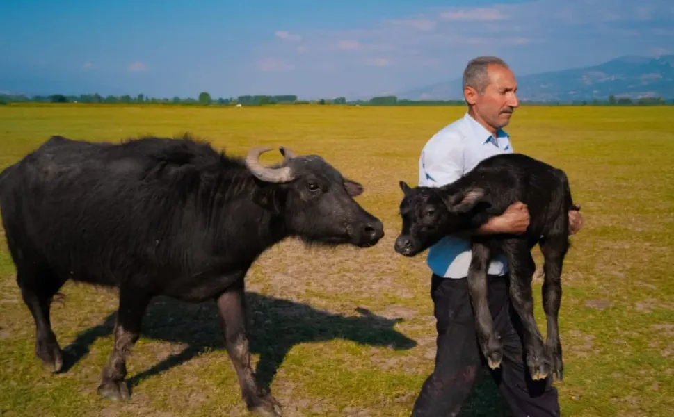 Tokatlı Fotoğrafçı Dünya İkincisi Oldu