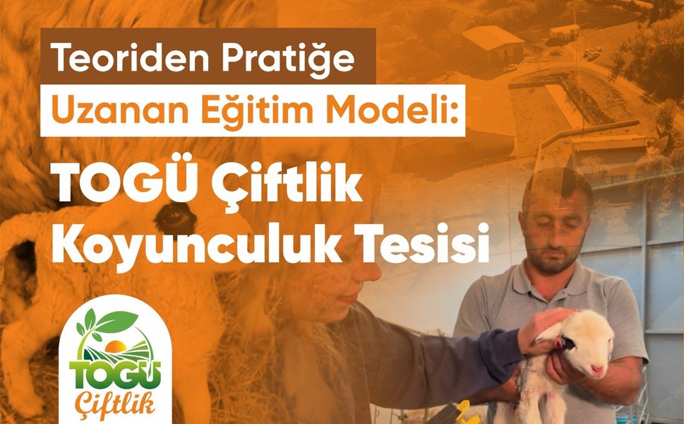 TOGÜ'lü Öğrenciler Çiftlikteki Uygulamalı Eğitimle Sektöre Hazırlanıyor