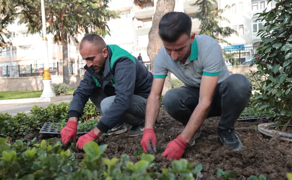 Tokat Belediyesi Park ve Bahçeler Müdürlüğü Ekipleri Çalışmalarına Devam Ediyor