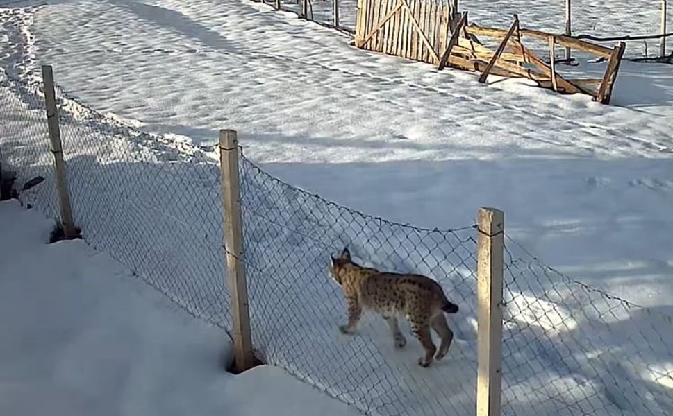 Tokat’ta belgeselleri aratmayan köy