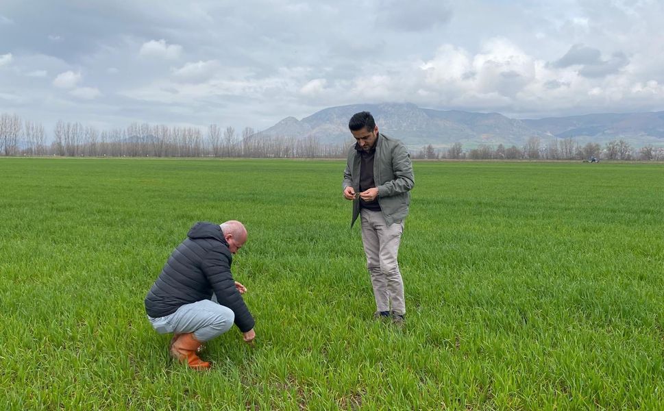 Pazar İlçe Tarım ve Orman Müdürlüğünden Hububat Denetimi