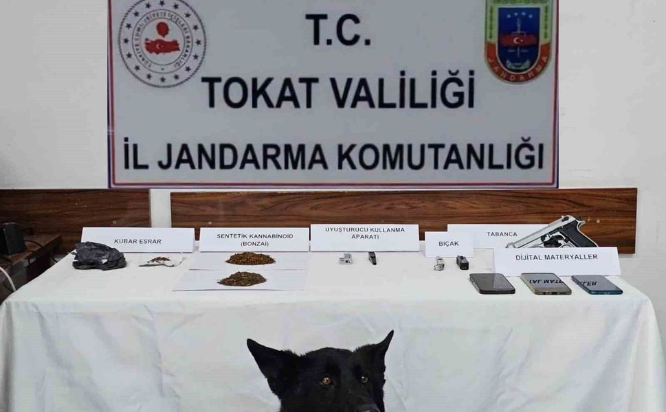 Tokat'ta jandarmadan zehir tacirlerine operasyon: 5 gözaltı