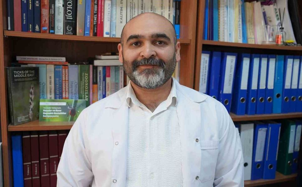 Uzmanı uyardı: 'Kar örtüsü keneleri yok etmiyor'