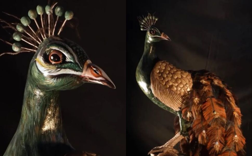 Tokat’ta “Tavus Kuşu” ile İklim Mesajı