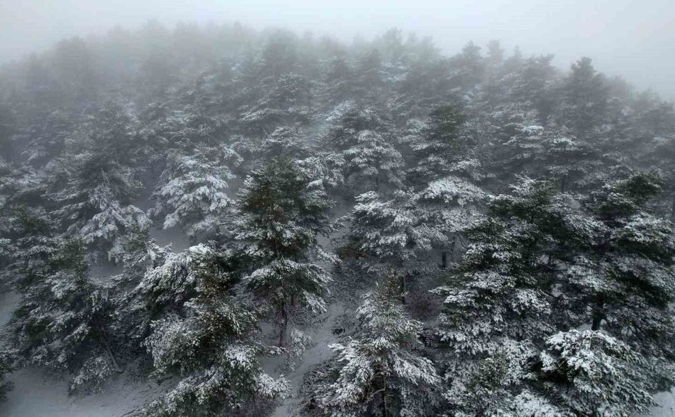 Tokat'ta bahar ortasında yağan kar mest etti