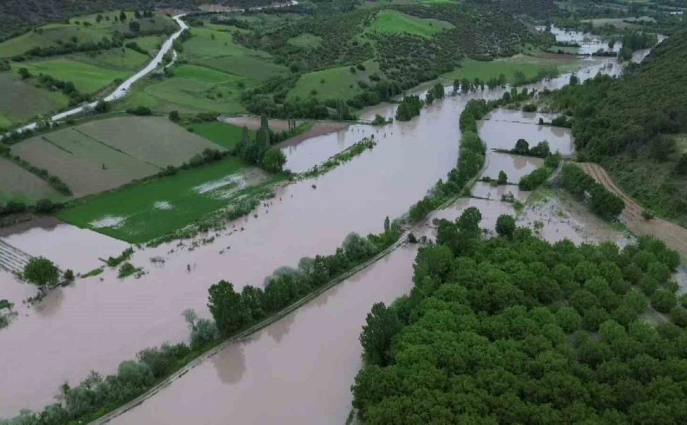 Tokat'ta Kelkit Çayı taştı, köyü su bastı