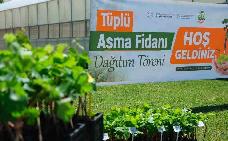 TOGÜ'den üreticiye bağcılık desteği
