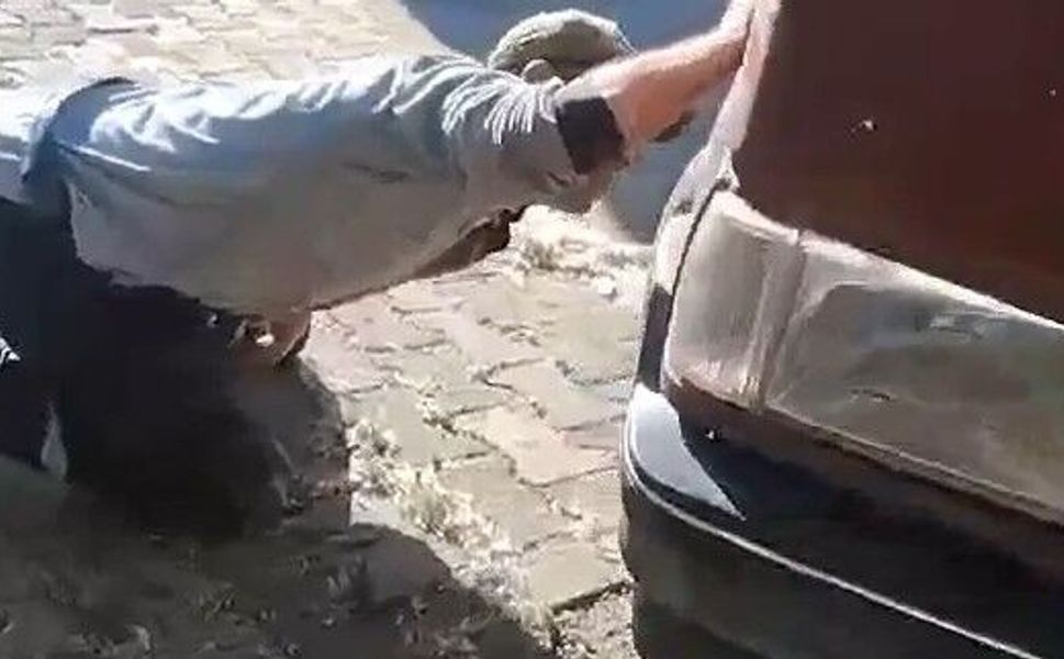 Tokat'ta aracın motor kısmına giren yılanı itfaiye ekipleri kürekle yakaladı