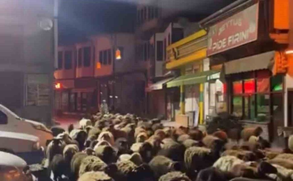 Tokat'ta yayla göçünde yüzlerce koyun şehir merkezinden geçti