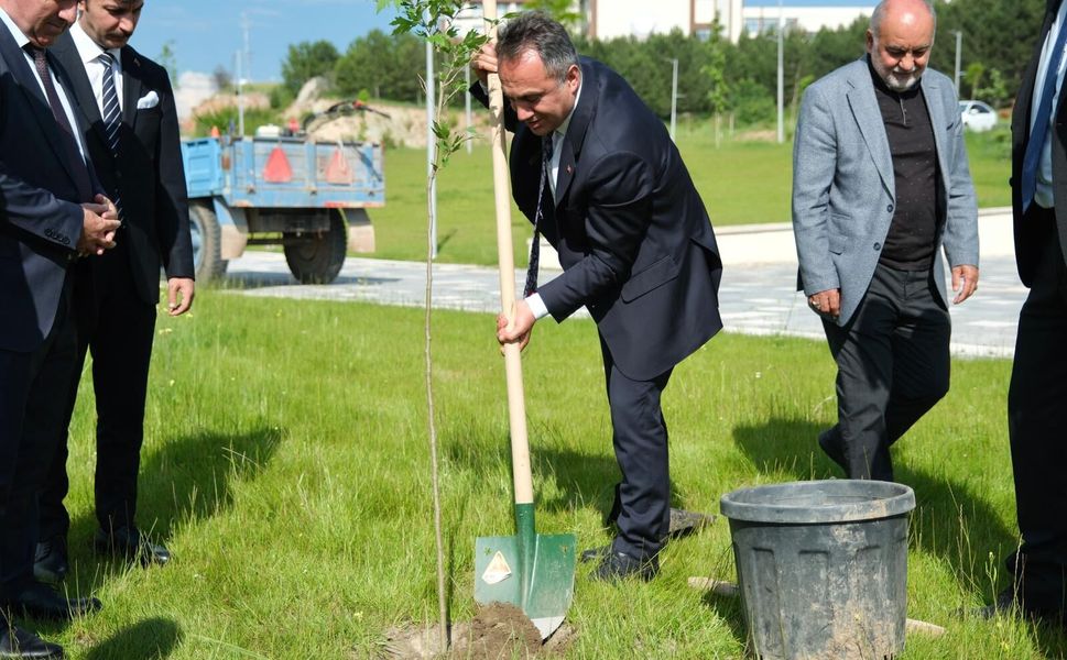 TOGÜ’de Çınar Ağaçları Toprakla Buluştu
