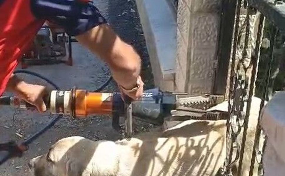 Demir kapıya sıkışan köpeği itfaiye kurtardı