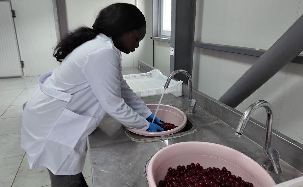 TOGÜ Çiftlik Tarım Ürünleri Kurutma Tesisi üretim ve eğitimi bir araya getiriyor