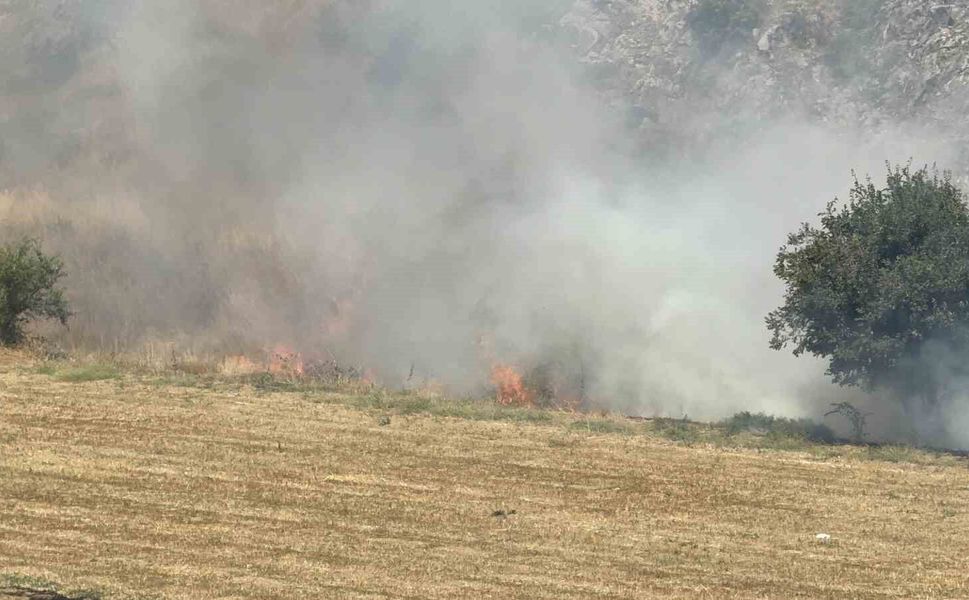 Tokat'ta otluk alandaki yangın büyümeden söndürüldü