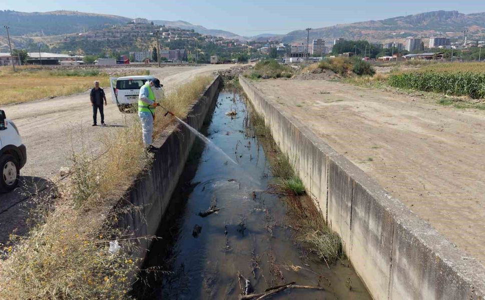 Tokat'ta sivrisinek ve haşerelere karşı kapsamlı ilaçlama seferberliği