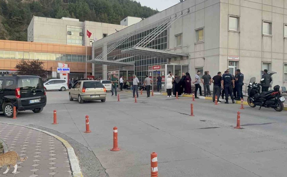 Tokat'ta hayvan otlatma meselesi silahlı kavgaya dönüştü: 2 yaralı