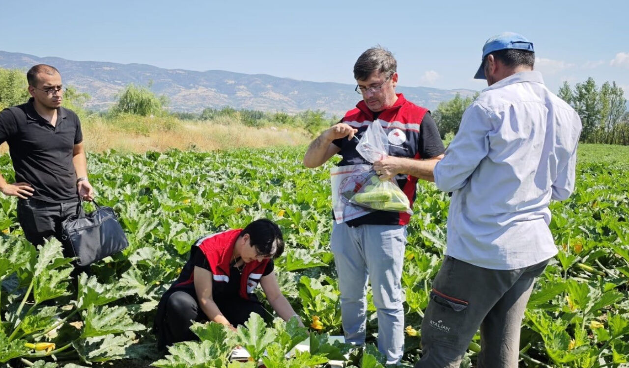 Güvenli Gıda İçin Pestisit Denetimi! Tokat'ta 203 Ürüne Analiz